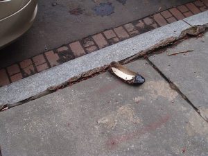 hillary-clintons-shoe
